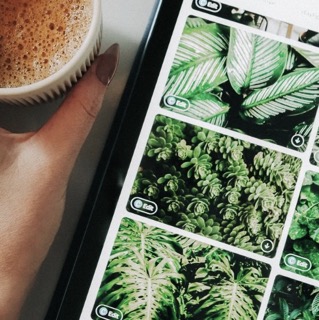 Coffee Plantation Image Classification Logo